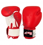 BOXING GLOVES